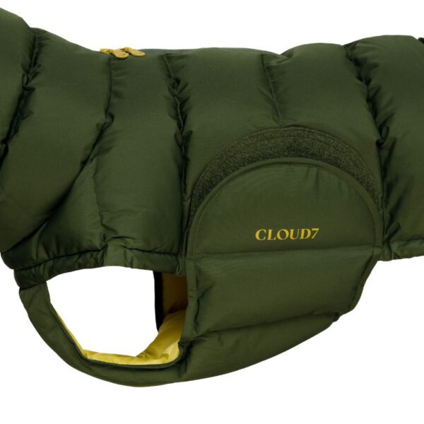 Cloud7 Hundejacke Alaska oliv