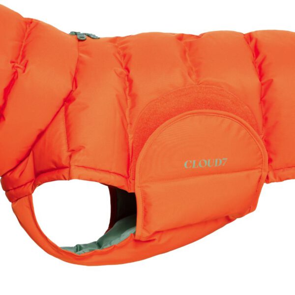 Cloud7 Hundejacke Alaska orange