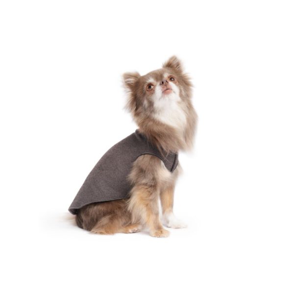 Goldpaw Grau Stretch Fleece